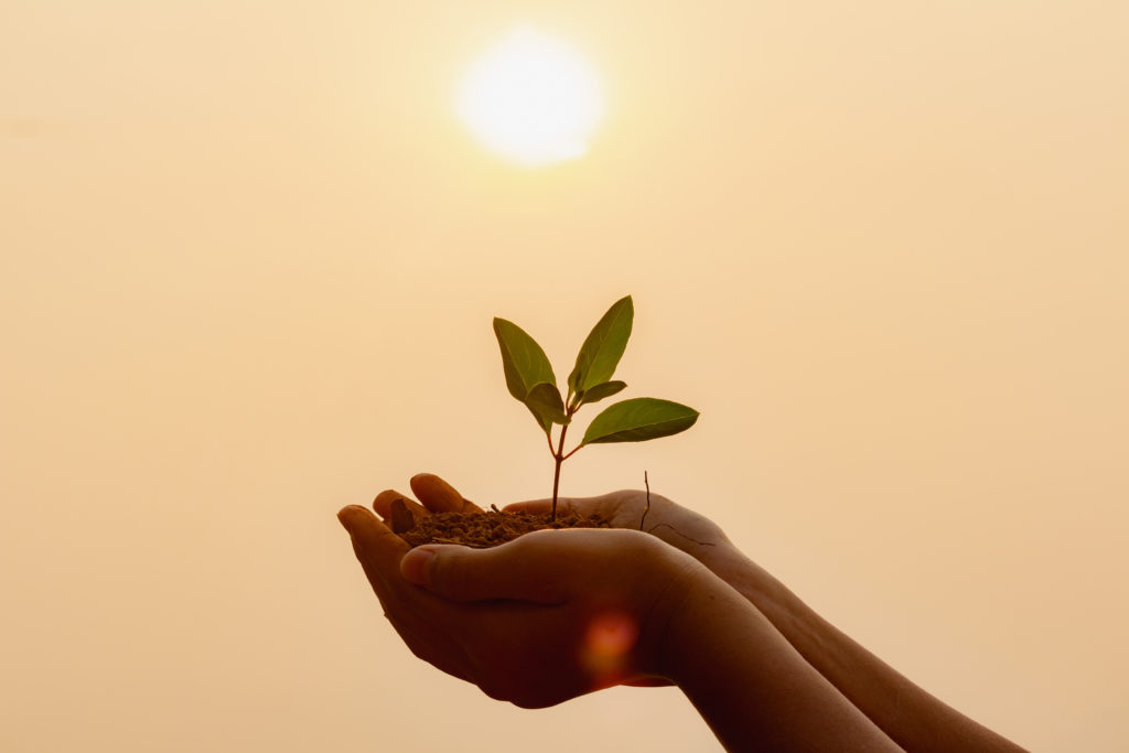 Counselling Help in London