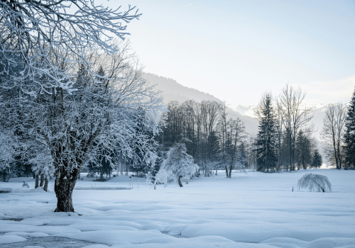 New years' resolutions for mental health and wellbeing, winter sad mental health therapy